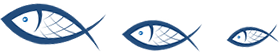 魚